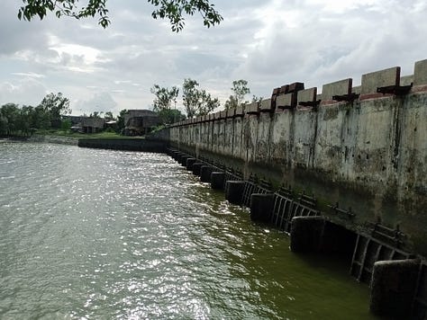 My Visit to the River Piyali : Kidney of Kolkata