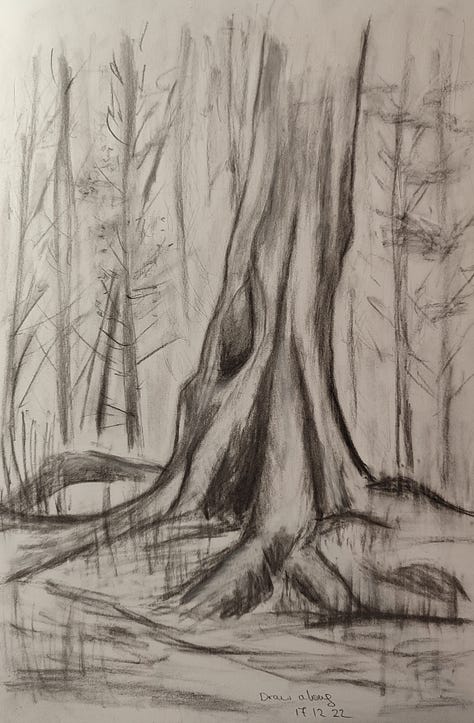 Charcoal drawings of landscapes, trees, mountains and forests