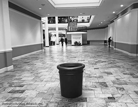 Photographs of the emptiness that now holds sway at Town Center Mall in Charleston West Virginia.