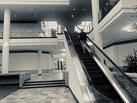 Photographs of the emptiness that now holds sway at Town Center Mall in Charleston West Virginia.