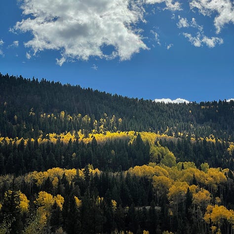 Autumn Pictures in Colorado
