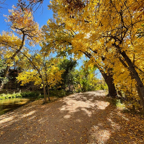 Autumn Pictures in Colorado