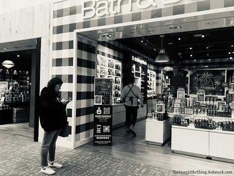 Photographs of the emptiness that now holds sway at Town Center Mall in Charleston West Virginia.