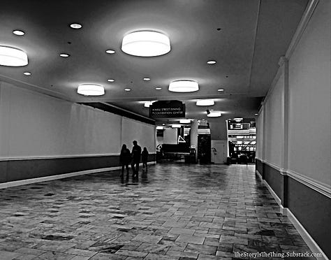 Photographs of the emptiness that now holds sway at Town Center Mall in Charleston West Virginia.