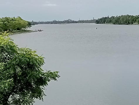 My Visit to the River Piyali : Kidney of Kolkata