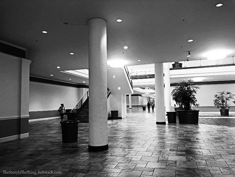 Photographs of the emptiness that now holds sway at Town Center Mall in Charleston West Virginia.