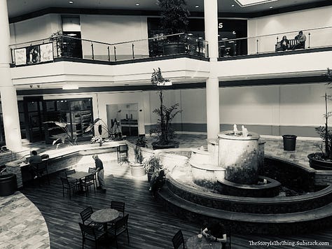 Photographs of the emptiness that now holds sway at Town Center Mall in Charleston West Virginia.