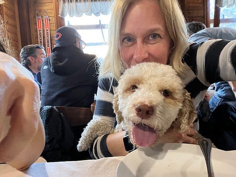 Top L to R: starting at piazza San Martino in Lemna, frost on the trail up, hiking and friends, antipasti e vino, stinco secondo, Coco licking the remains of my pizzocheri plate, homemade cakes for dolce, and the walk down at sunset, 