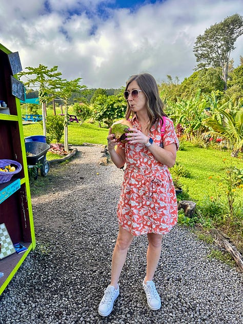 tropical dress, Hawaii outfits, travel style, sustainable style