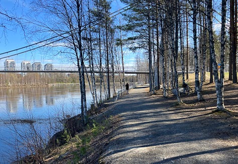 Paths on the island, bordered by trees and with water views