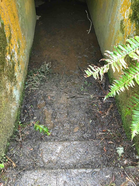 rusted doors and damp hallways