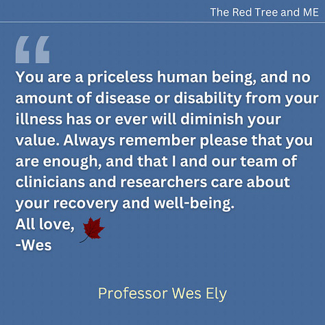 Amidst the confusion of unexplained chronic illnesses like MECFS and Long COVID, there might be a temptation to think that you are forgotten. That your value is less because of your illness.  Neither is true. We in science remember you every day. We consider your suffering and use this to drive us to find you answers. You are a priceless human being, and no amount of disease or disability from your illness has or ever will diminish your value. Always remember please that you are enough, and that I and our team of clinicians and researchers care about your recovery and well-being.  All love, Wes