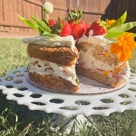 Slice of cake and strawberry shortcake