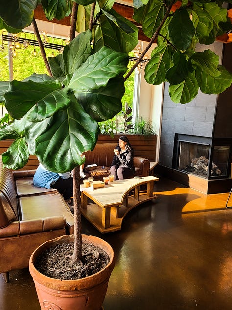 Parable Cafe interior vibes and seating options
