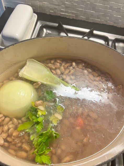 Beans in a pot with celery, carrots and onion to be cooked