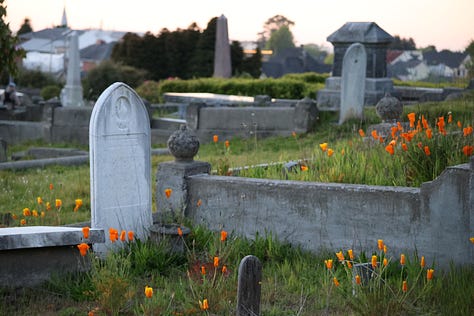 A pair of crows make a ruckus in the mossy branches of an evergreen tree. Bright orange California poppies bloom amongst the headstones in a cemetery. A Great Horned Owl glares down from a eucalyptus tree, towering over a historic graveyard.