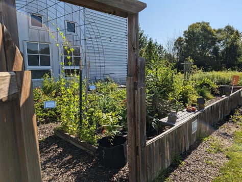 images of an open doorway into a school garden full of growing plants, supports, and arches