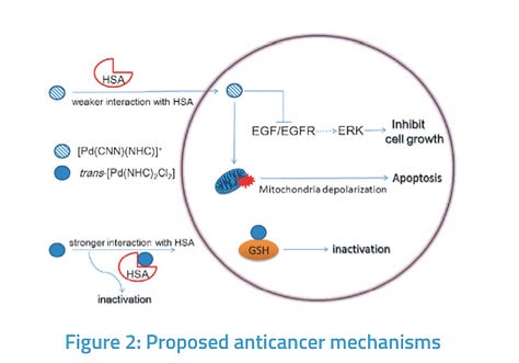 Palladium (II) Complexes in Anti-cancer