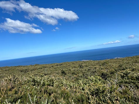 A gallery of images of our hike along the Three Capes of Tasmania - Day two