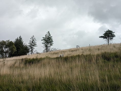 guided waterfall walking in the Brecon Beacons National Park