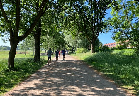 Beige gravelly paths on all sides of the park