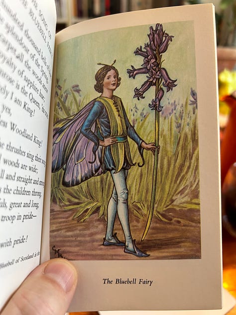 A small book of flower fairies. 