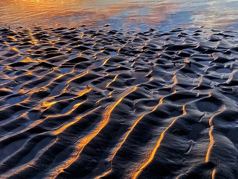 1) cannon beach at sunset 2) brown pelican migration 3) cannon beach at sunset 4) hamiltion mountain hike-waterfall 5) hoh rainforest, heart of roots 6) "the Sisters" Big Leaf Maples