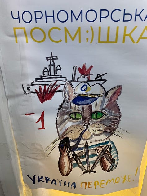 mages of hand-made pro-Ukraine wall posters featuring cats at a community help center in Dnipro, Ukraine.