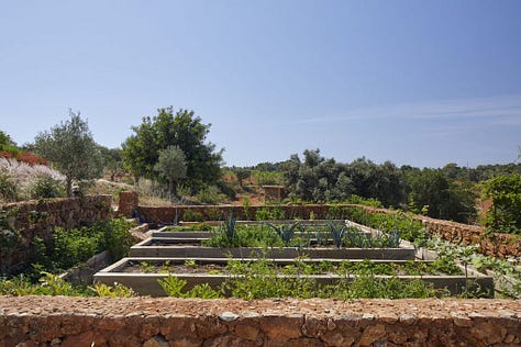 wines, olive oil, Algarve vineyard and gardens