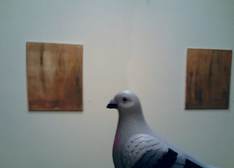 “Going Nowhere,” a collection of paintings by Newark-raised artist Kelly Ann Pinho, is be part of dual exhibitions of Pinho’s work, along with Sunil Garg’s, at Index Art Center’s temporary event space in Newark’s Teachers Village, 245 Halsey St. From left in a set of eight pictures we have, the Chilltown Blues pigeon looking at the set of paintings in which Pinho explores variations of a rusty or brown coloring. Second, are the green waves of 30x30 "Spring Heel Jack." Third is a picture of Pinho's green section, featuring a portion of them via two paintings, with the reflections of the two paintings in the windows to the left. There's also a slideshow with pictures of canopy and flowers - the text of which is referred to in the article below. The sixth photo has the Chilltown Blues pigeon in front of a sculpture peice by the dual art show's other artist, Sunil Garg. Garg's pieces evokes a jellyfish with lights coming from the floor as it, seven-feet high rotates in a greenhouse-like frame. The last pictre shows the transition of Pinho's rust-colored pieces to something more golden, evoking some of her own personal transitions of moving from "nowhere" to "somewhere."