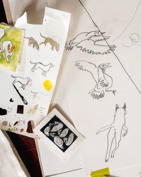 drawings geese, moth, skull, plants,