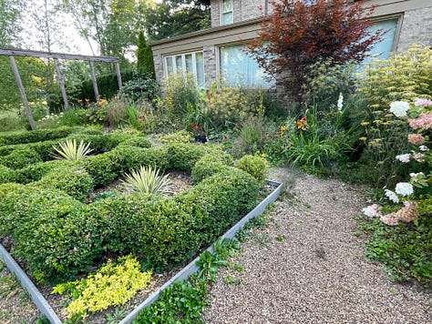 The reds and oranges of the Hot Border thiThe reds Echinacea in the Hot Border this month; a trim on the Box Parterre; Orange Heliopsis 'Summer Eclipse' going into the western border.s month, with a trim on the Box Parterre 