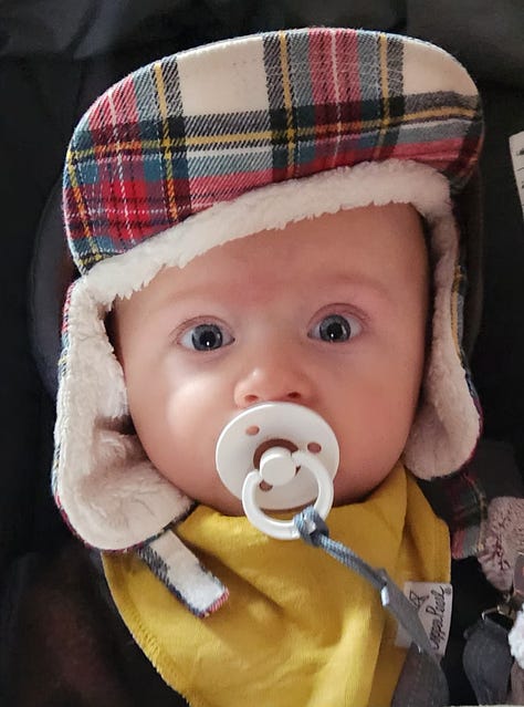 Baby with plaid hat and pacifier, one eyed cat, yellow Lab dog in field of clover