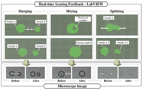 Inventions on Semi-Conductor Biochips Enable Automation for Fast PCR Tests and Cell Biology Applications