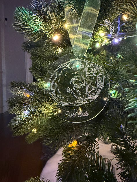 Image 1: Acrylic "Inspired by Nature" ornament engraved Bear with cub. Image 2: Acrylic Embryo engraved ornament. Image 3: "Inspired by Nature" Silver Nugget with Mountains Pendent with silver necklace. Image 4: Acrylic engraved "Our Cubs" ornament placed on a Christmas tree. Image 5: Silver Nugget Pendent "Sand Dollar" with silver necklace. Image 6: Silver Nugget Pendent "Daisy" with silver necklace.