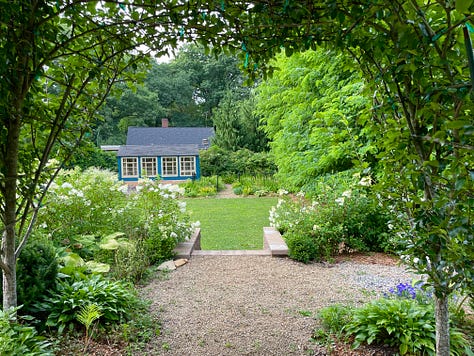 Looking down from the Hot Border through the Fruit tunnel; up from the lawn to the steps and tunnel; and the Balloon flower (Platycodon) that have finally survived the rabbits in this area. 