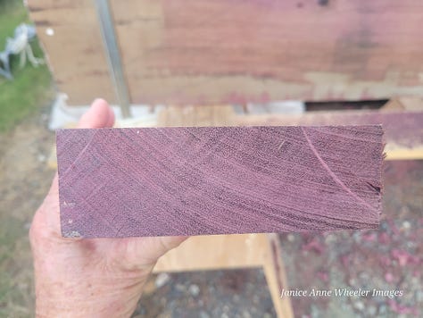 Purpleheart