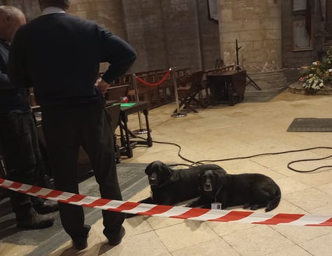 Two dogs lying on church floor. Two dogs greeting visitors in Abbey. Two dogs with Christmas tree on Christmas card