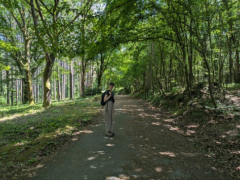 Ataturk Arboretum