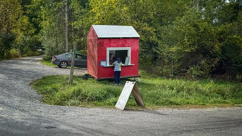 From left to right: a photo of a red shack beside a country road with a sandwich board outside. There's a little window in the side of the shack with a counter. Next, a photo of a man with a large white beard in the shack. There are containers of butter tarts surrounding him. On the counter there is a jar of pickles and a price list. Finally, there is a shot of an open box containing the butter tarts and jar of pickles we bought. 