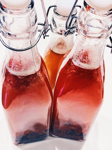 SCOBY, Blueberry, Ginger
