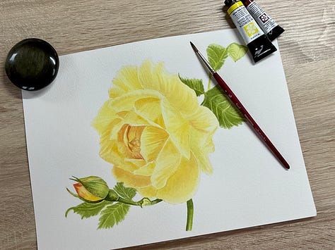 My practice rose