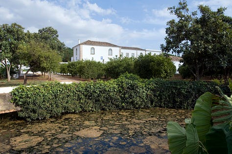 Vineyards, winery, Algarve, Convento do Paraiso