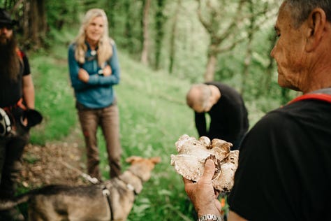 guided walks in wales