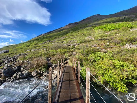 Nature photos depicting a pathway, bridge, and stairs