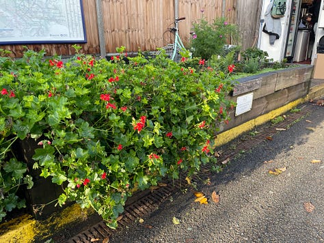 Trees, hedges, and plants on roads and at stations