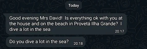 A very negative review of the Ilha dos Pássaros, a text message reading, "Gabriela is an Argentinean who married my friend Marcelo, they have a son and live in the village of Provetá Ilha Grande, they are trustworthy," and a text message reading, "Good evening Mrs David! Is everything ok with you at the house and on the beach in Provetá Ilha Grande? I dive a lot in the sea. Do you dive a lot in the sea?"