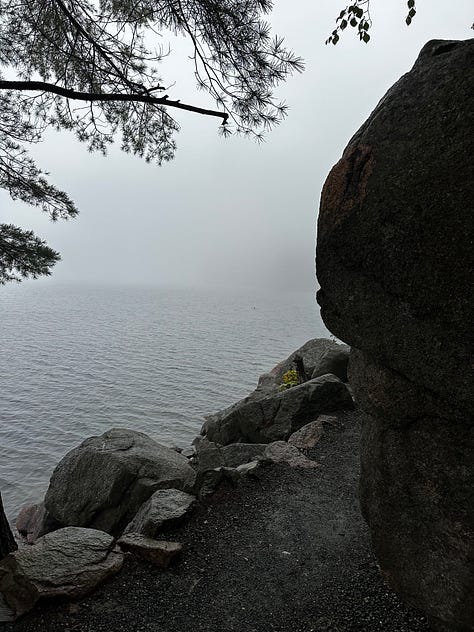 Acadia National Park