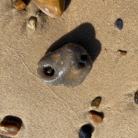 lucky hole stone, heart stone, baby jelyfish on sand