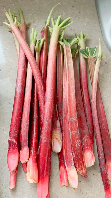 Rhubarb from Mick Klug Farm (in my kitchen), at the Mainz market, and at a market in Mannheim.